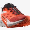 Salomon Sense Ride 5 Meudon Running Company