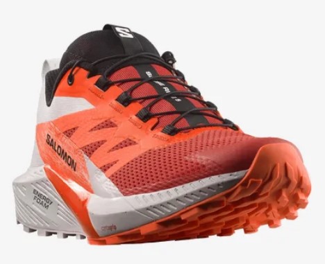 Salomon Sense Ride 5 Meudon Running Company