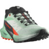 Salomon Sense Ride 5 Meudon Running Company