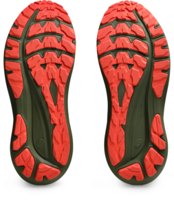 ASICS GT-2000 TR 13 Nature Bathing/Red Snapper
