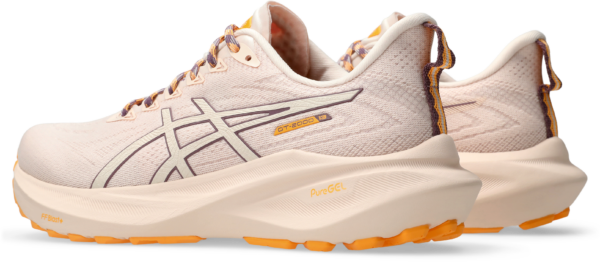 Asics GT-2000 TR 13 Meudon Running Company