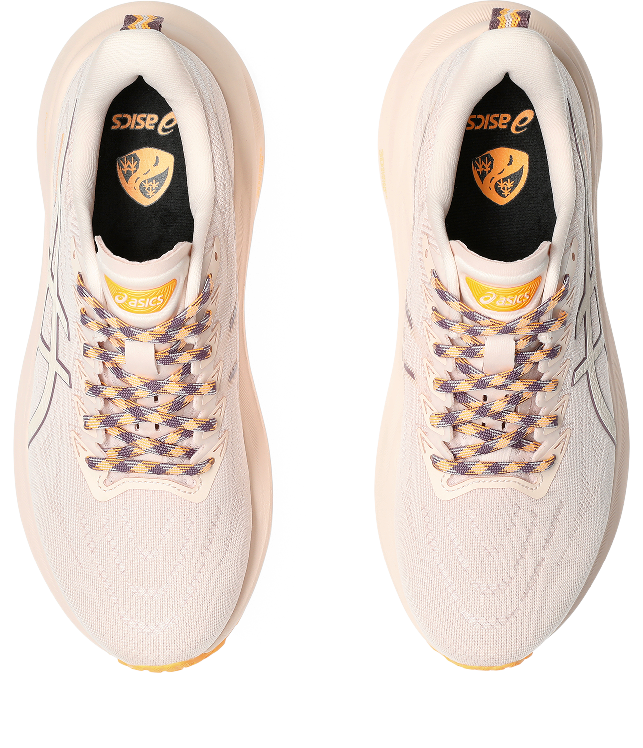 1012B749_700_SB_TP_GLB Asics GT-2000 TR 13 Meudon Running Company