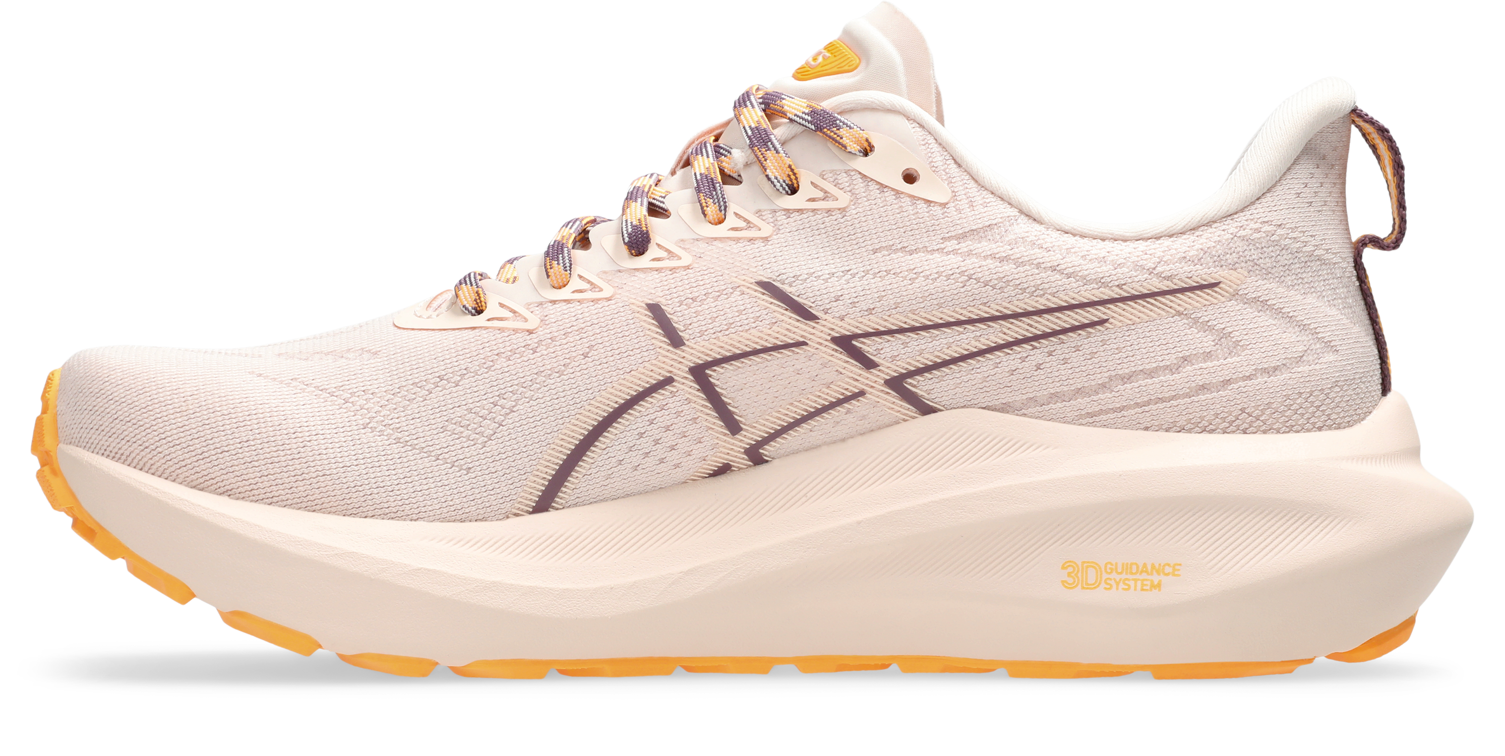 1012B749_700_SR_LT_GLB Asics GT-2000 TR 13 Meudon Running Company