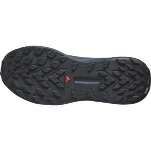 SALOMON GENESIS Carbon / Tahitian Tide / Quiet Shade