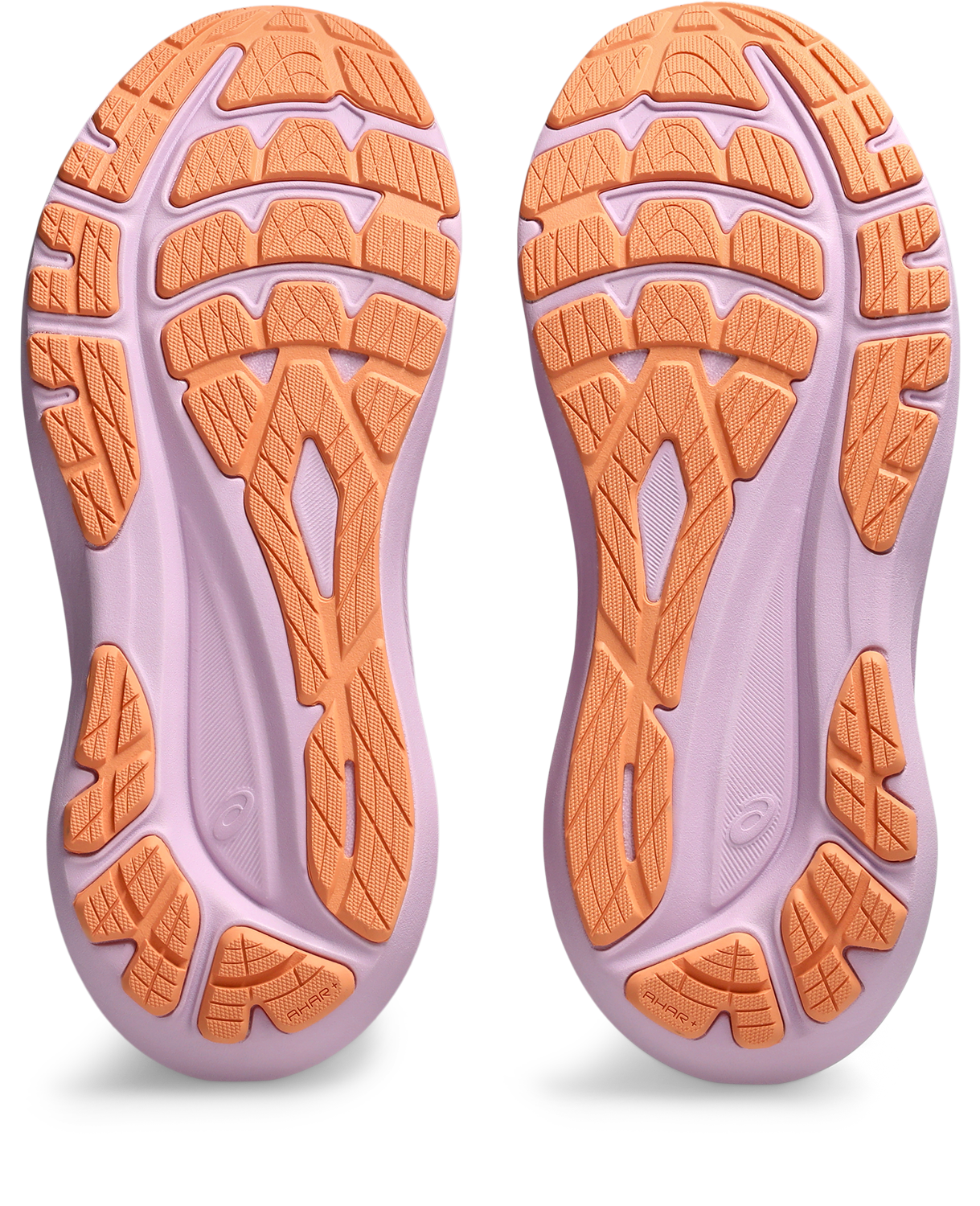 1012B666_501_SB_BT_GLB Asics GT-2000 13 Meudon Running Company