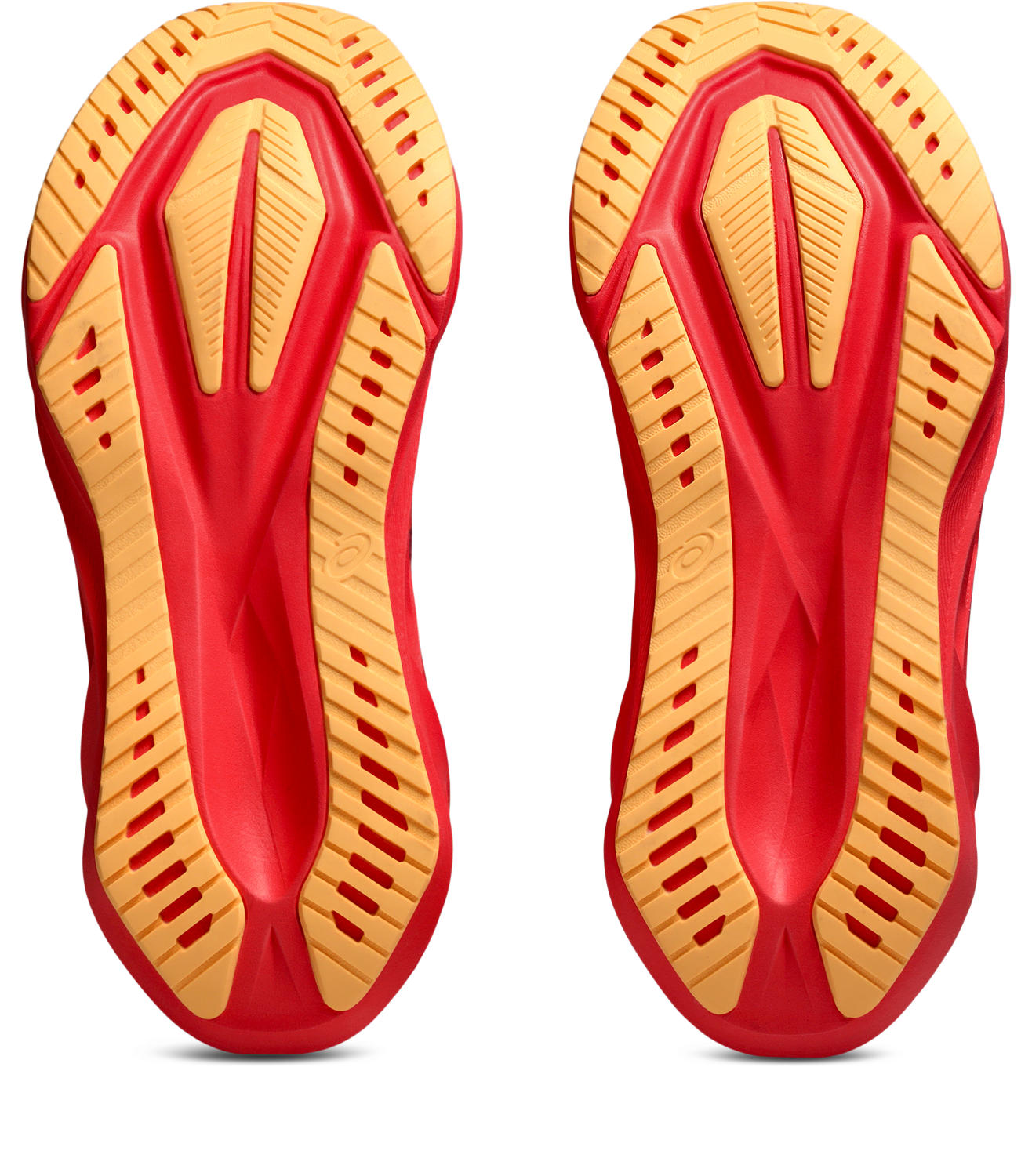 Asics Novablast 5 Meudon Running Company