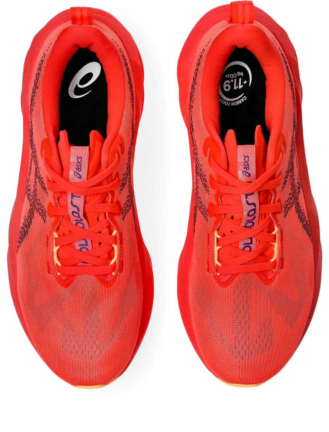 Asics Novablast 5 Meudon Running Company