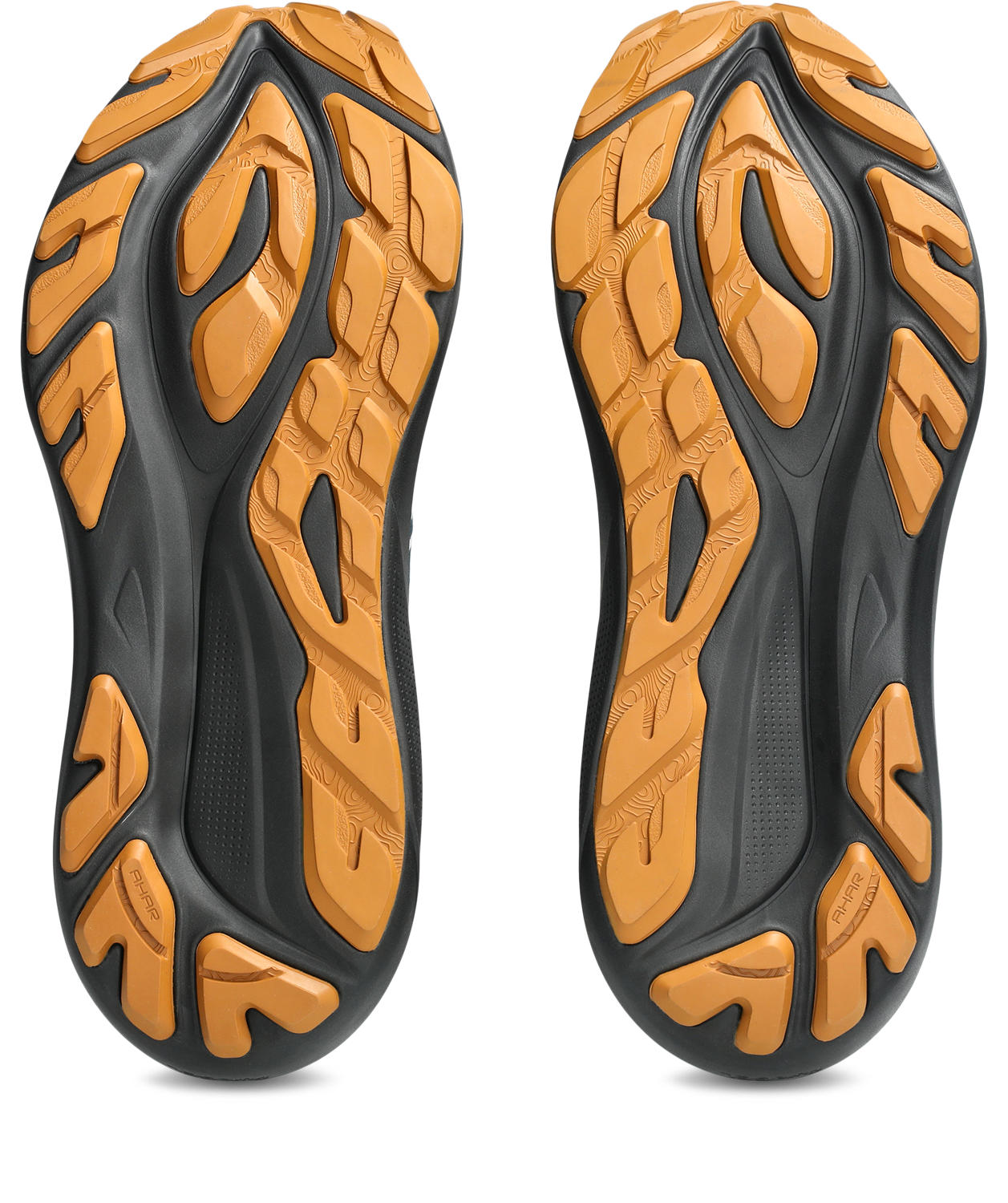 1011C129_300_SB_BT_GLB Asics GT-2000 14 TR Meudon Running Company