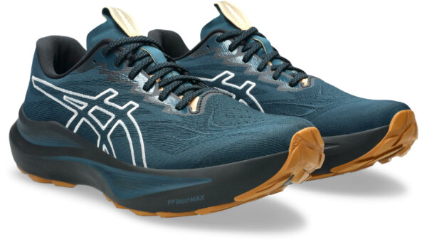 Asics GT-2000 14 TR Meudon Running Company