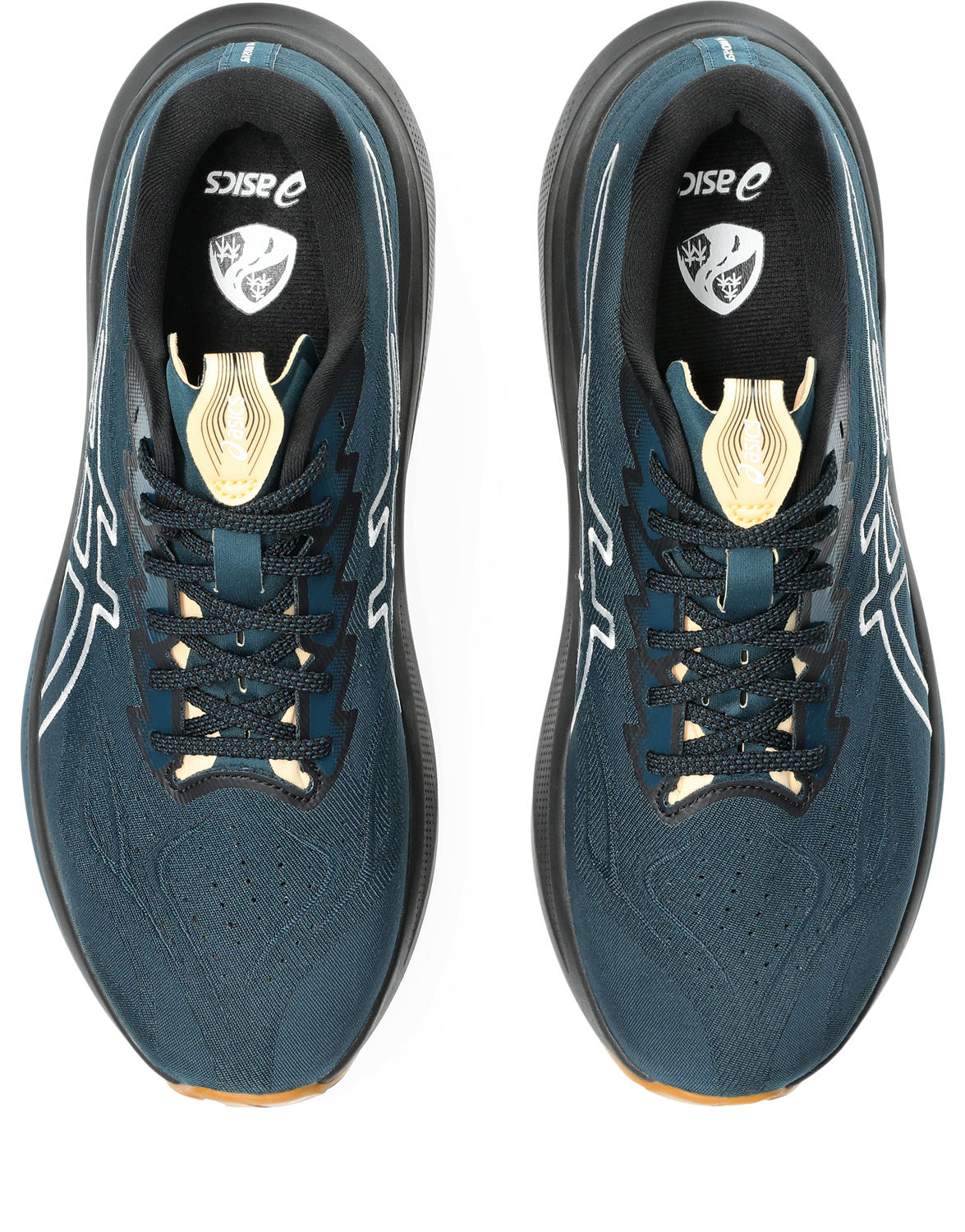 1011C129_300_SB_TP_GLB Asics GT-2000 14 TR Meudon Running Company