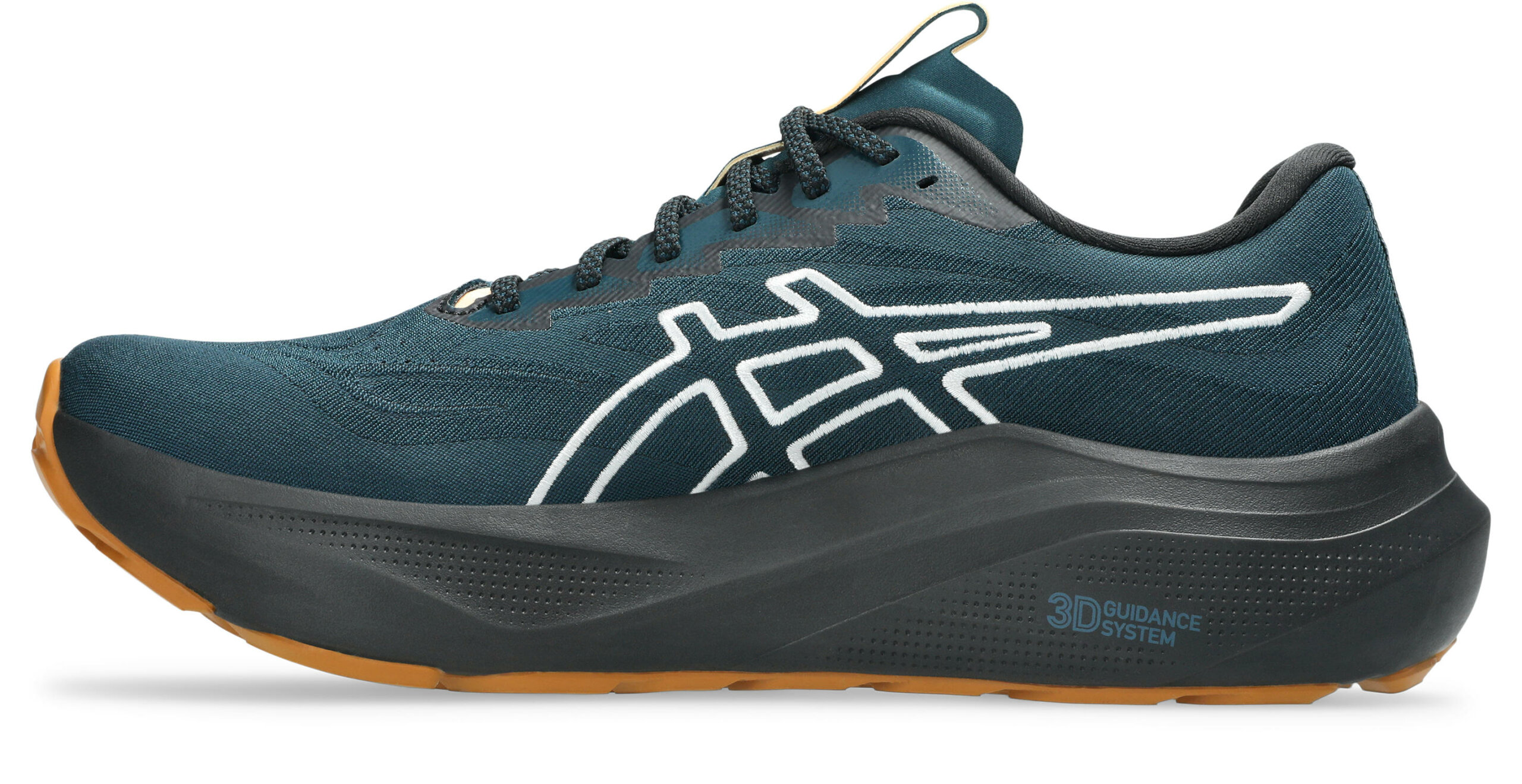 1011C129_300_SR_LT_GLB Asics GT-2000 14 TR Meudon Running Company