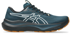 ASICS GT-2000 TR 14 Nature Bathing/Tranquil Teal