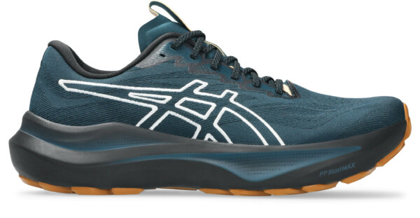 Asics GT-2000 14 TR Meudon Running Company