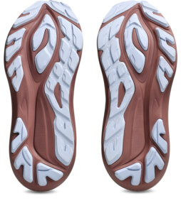 ASICS GT-2000 TR 14 Nature Bathing/Dark Red Planet