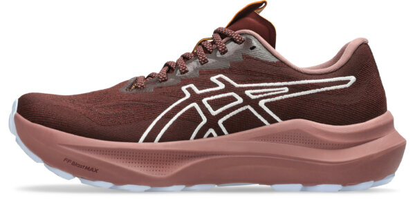 Asics GT-2000 14 TR Meudon Running Company