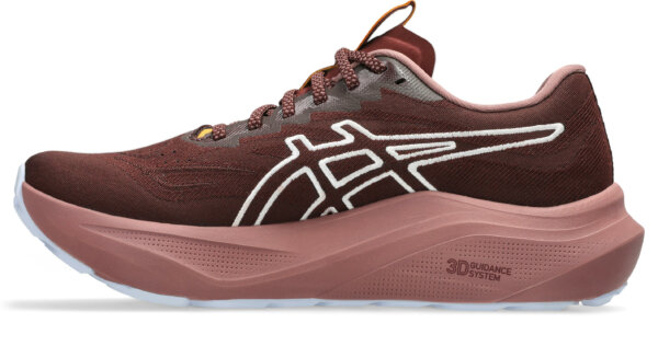 Asics GT-2000 14 TR Meudon Running Company