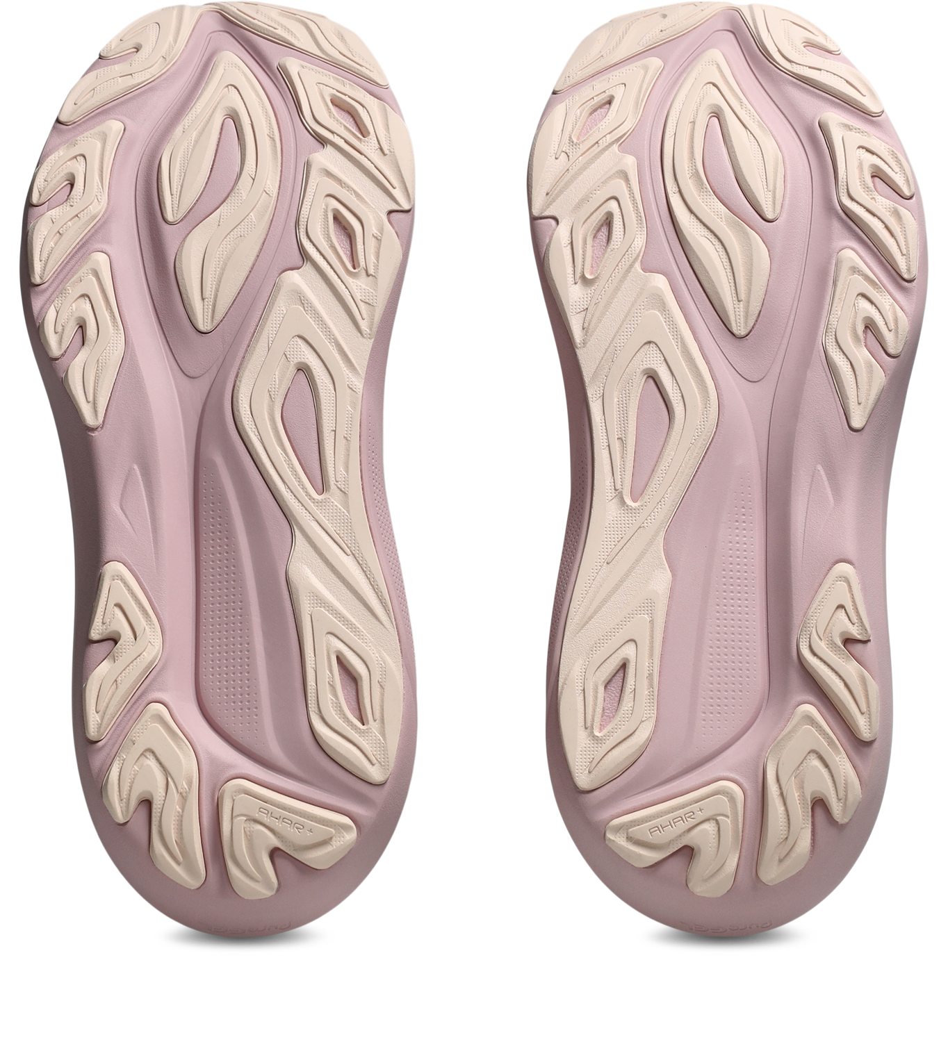 Asics GT-2000 14 Meudon Running Company