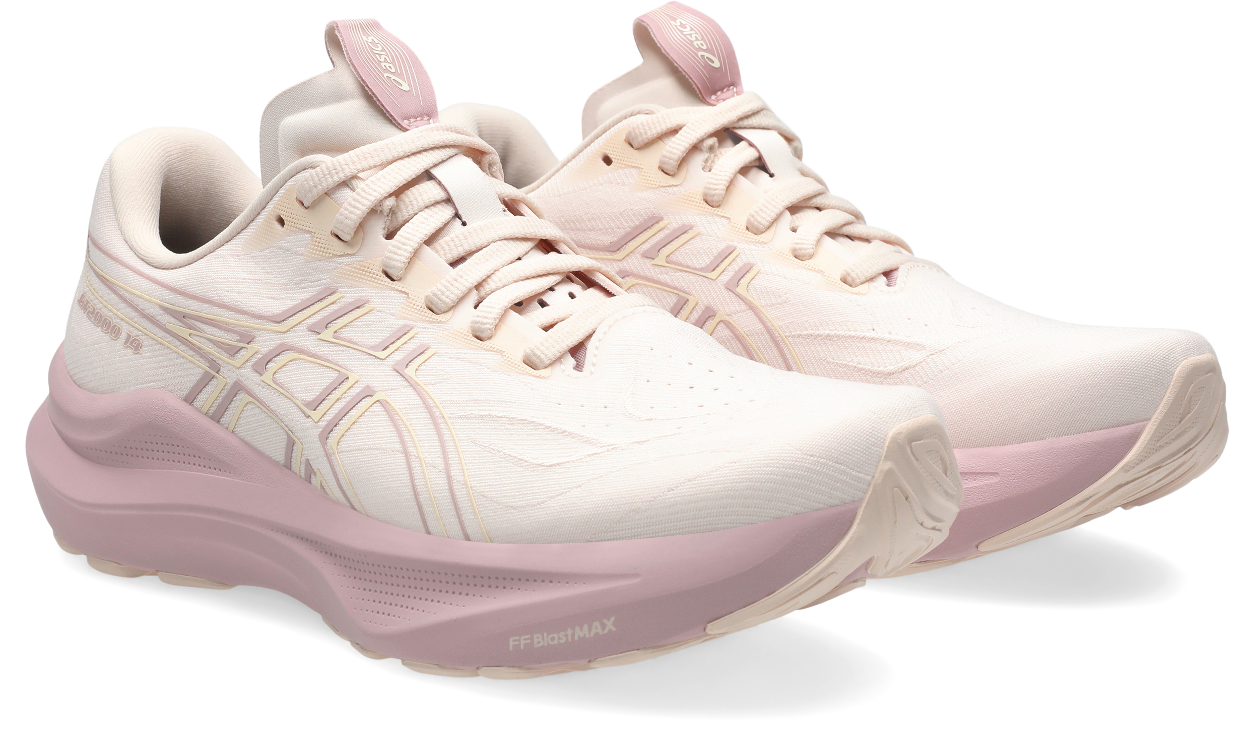 Asics GT-2000 14 Meudon Running Company