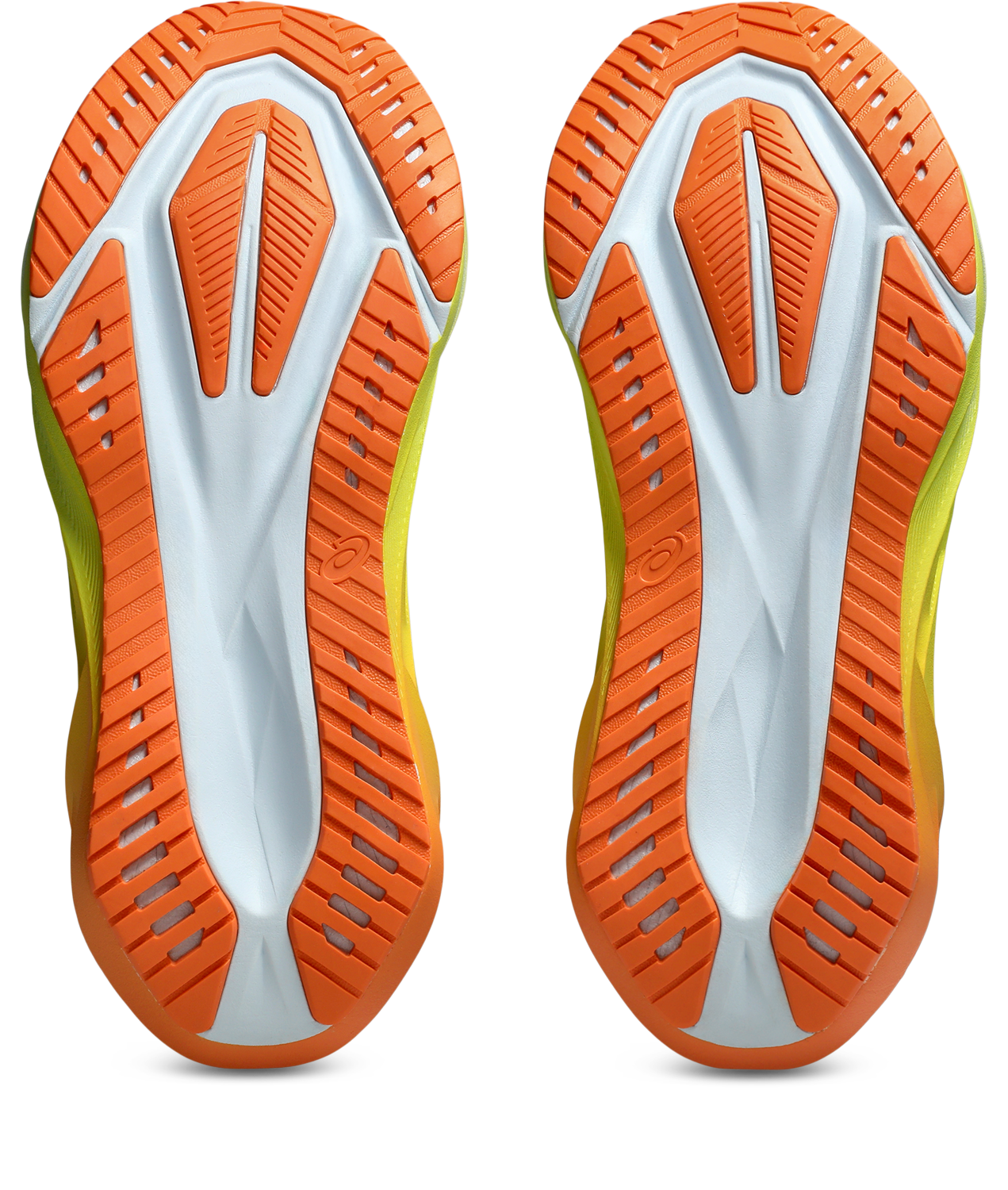 Asics Novablast 5 Meudon Running Company