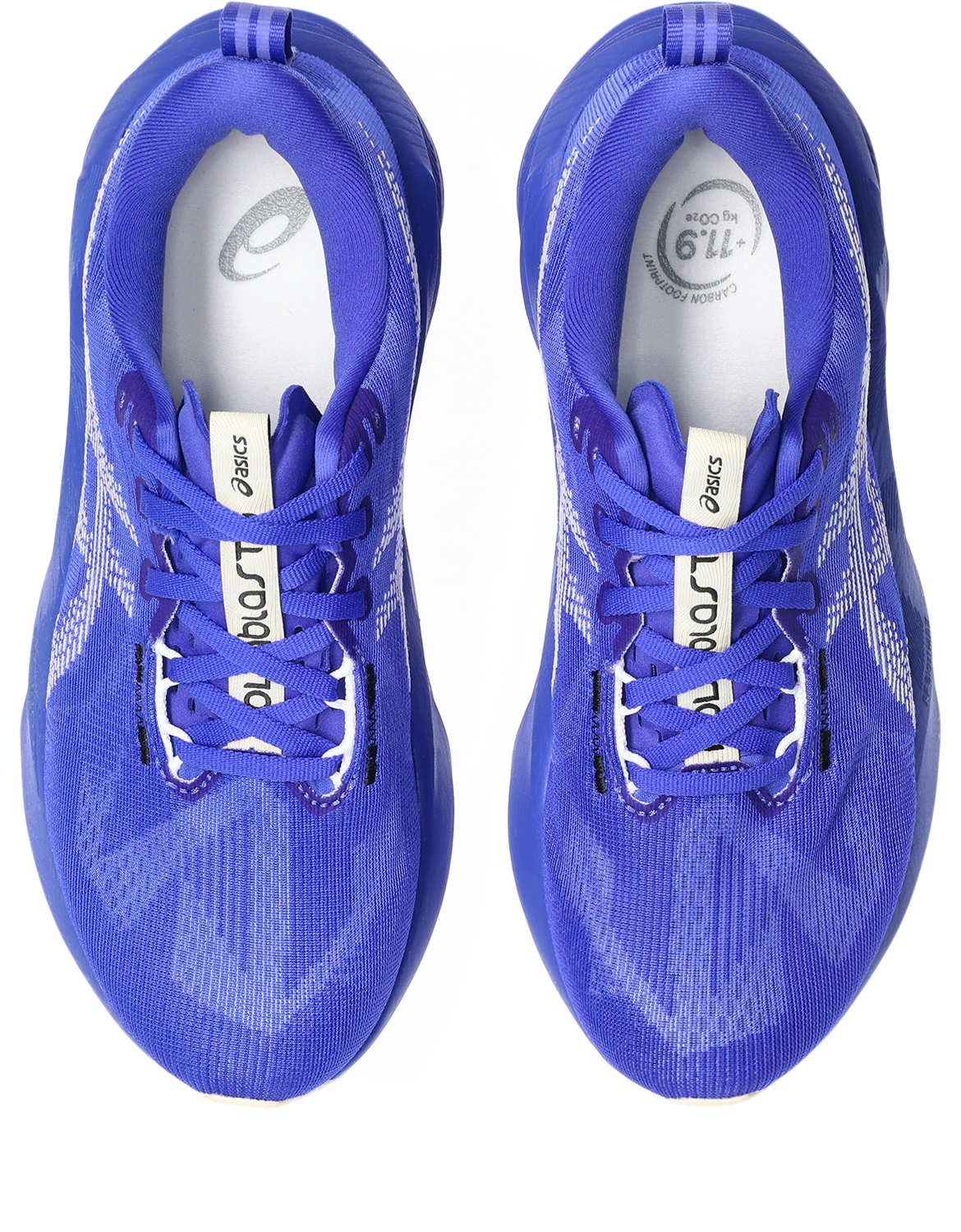 Asics Novablast 5 Meudon Running Company